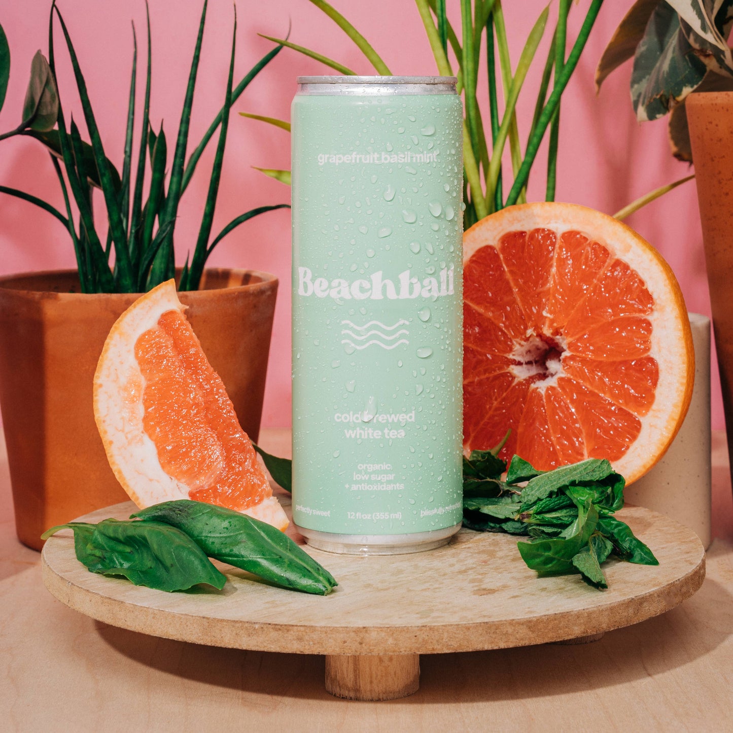 Sail Away Coffee Co. - BEACHBALL Organic Iced Tea Can - Grapefruit Basil Mint Swede Alley Co.
