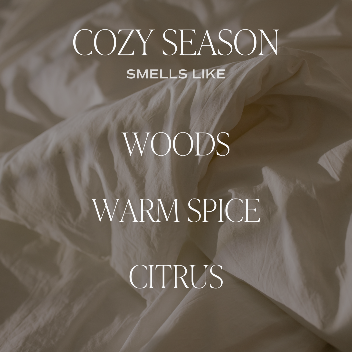 Cozy Season 9 oz Soy Candle - Fall Home Decor & Gifts Swede Alley Co.