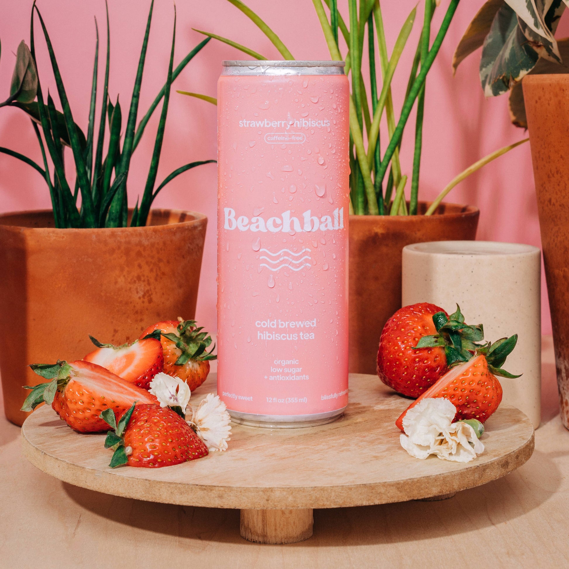 Sail Away Coffee Co. - BEACHBALL Organic Iced Tea Can - Strawberry Hibiscus Swede Alley Co.