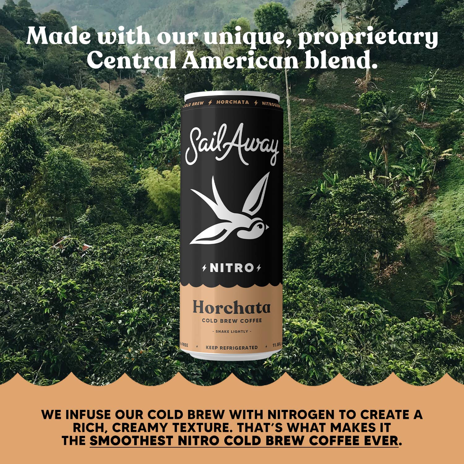 Sail Away Coffee Co. - Cold Brew Coffee Cans - Vanilla & Cinnamon Swede Alley Co.
