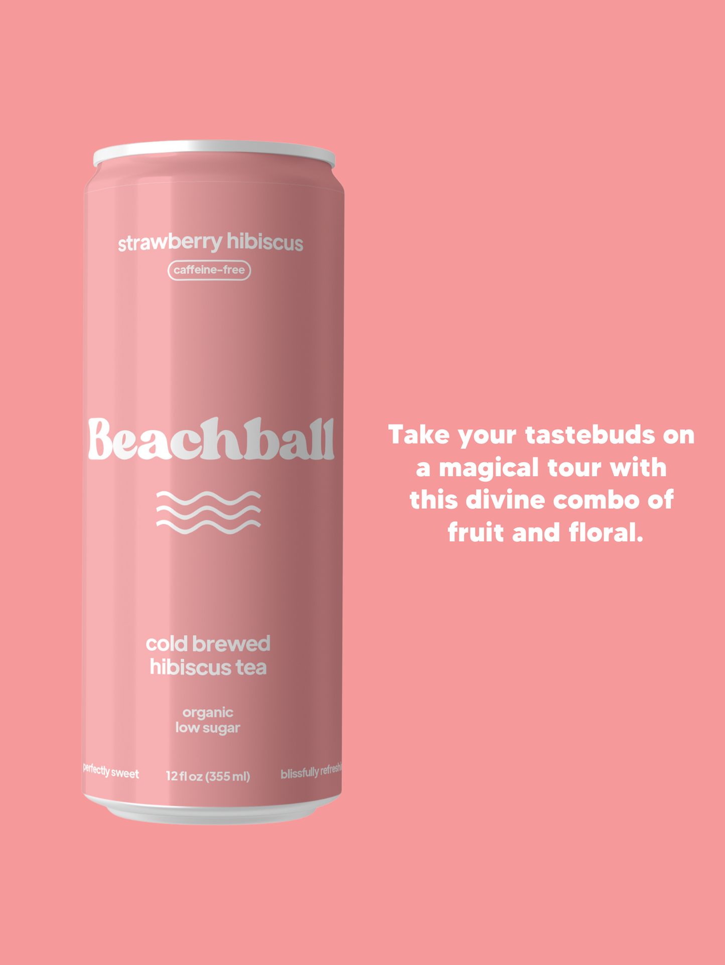 Sail Away Coffee Co. - Beachball Organic Iced Tea (Variety Pack)- Case of 12